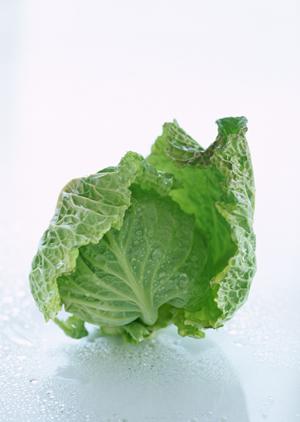 盛岡冷麺の伝統と革新を融合した「ぴょんぴょん舎」の魅力と店舗情報