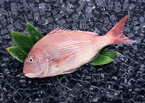 仙台のパン屋徹底ガイド2026：おすすめショップ＆選び方完全解説