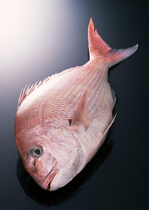 岡山県津山市の地域に愛されるお弁当屋さん「つるや」の魅力と店舗情報